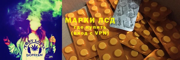 индика Богородицк
