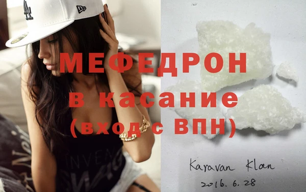 индика Богородицк