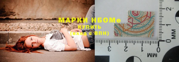 индика Богородицк