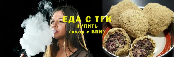 индика Богородицк