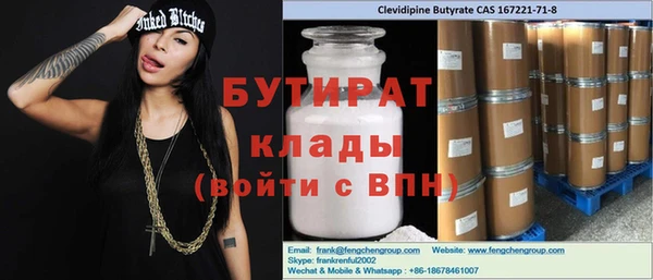 индика Богородицк