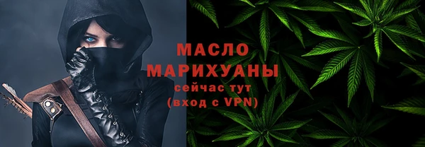 индика Богородицк