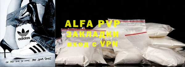 индика Богородицк
