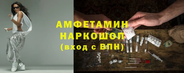 индика Богородицк