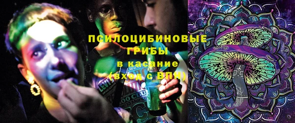 прущие крисы Богданович