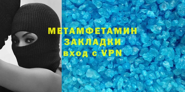 индика Богородицк