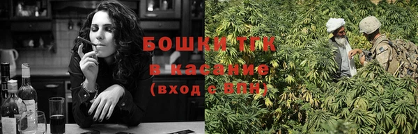 прущие крисы Богданович