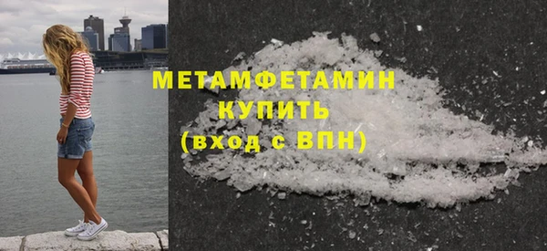 индика Богородицк