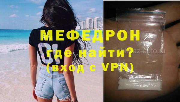 индика Богородицк
