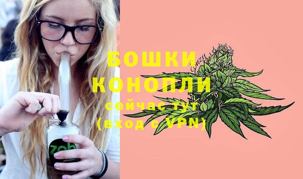 прущие крисы Богданович