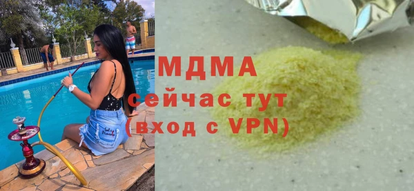 индика Богородицк