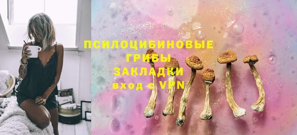 прущие крисы Богданович