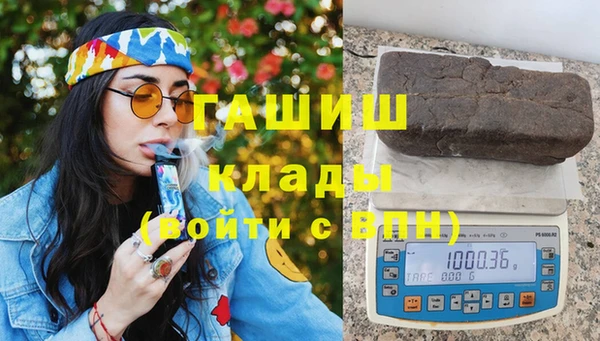 индика Богородицк