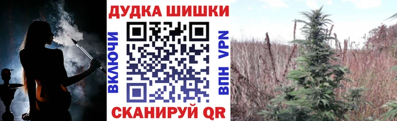 где можно купить   Верхняя Тура  Бошки Шишки конопля 